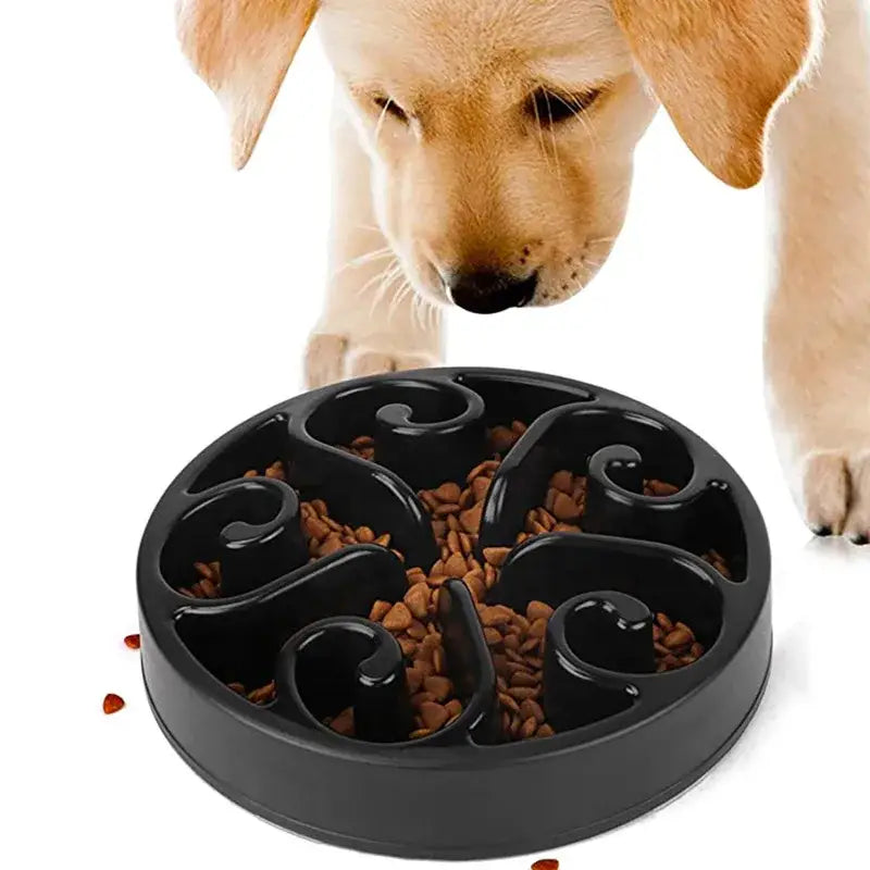 Spiral-patterned dog food bowl with compartments filled with kibble.