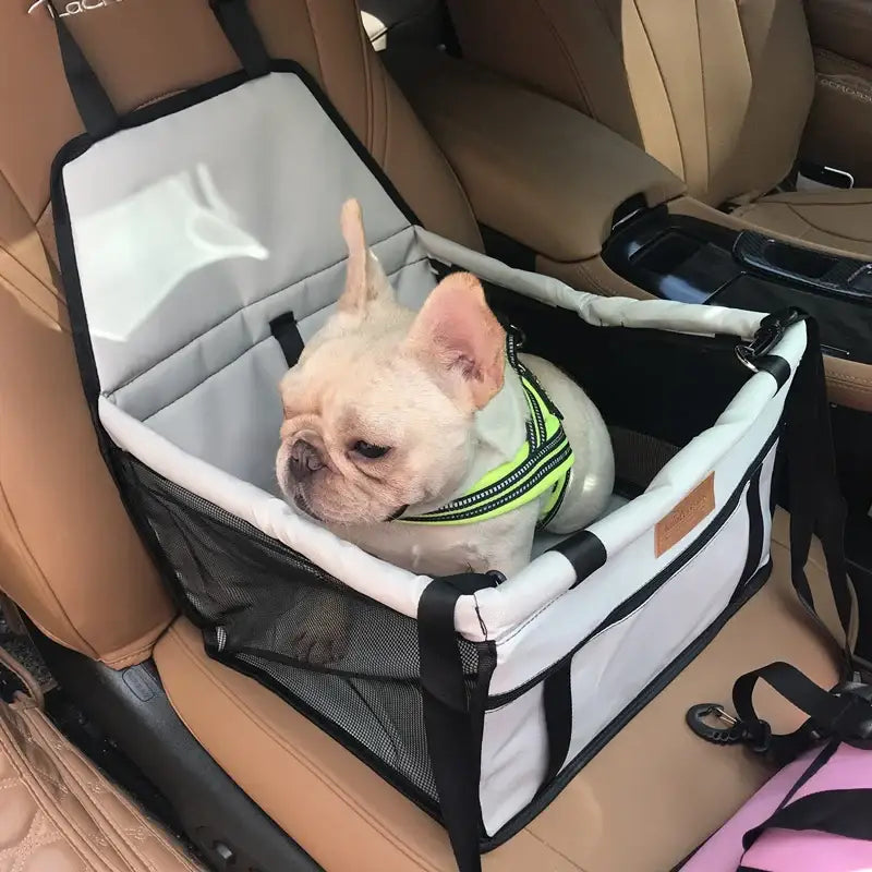 French Bulldog wearing a harness sitting in a car seat carrier.