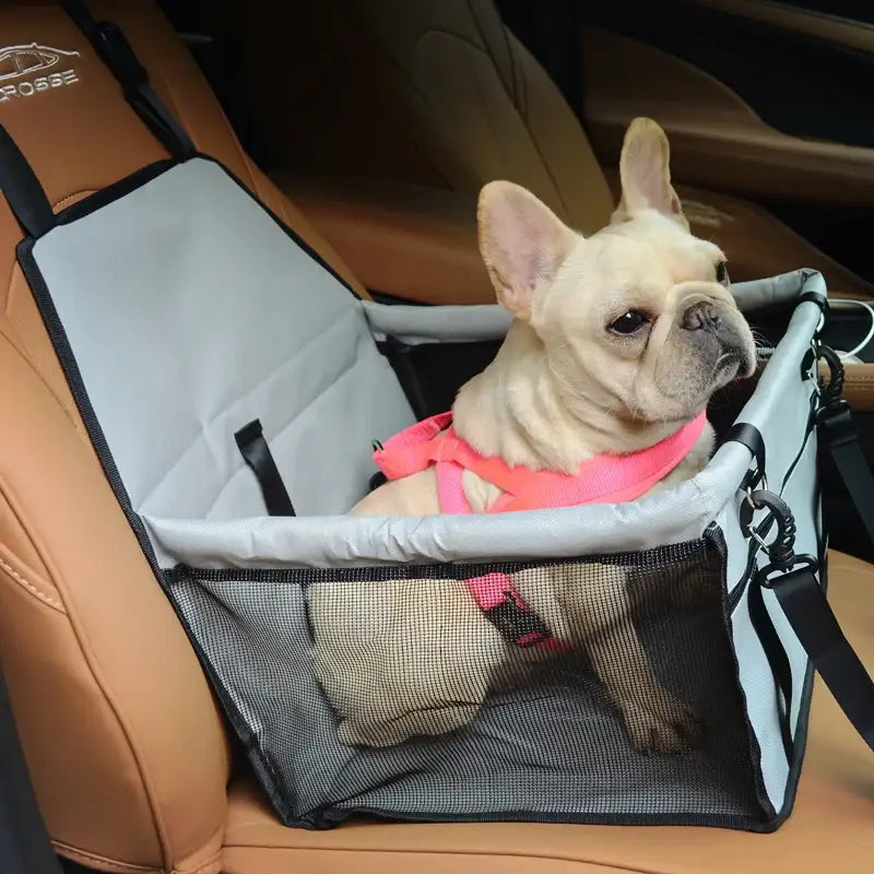 French Bulldog wearing a pink collar sitting in a car seat booster.