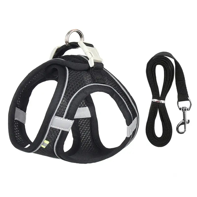 Black dog harness with reflective strips and an attached leash.