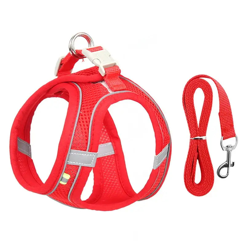 Red dog harness with reflective strips and matching leash.