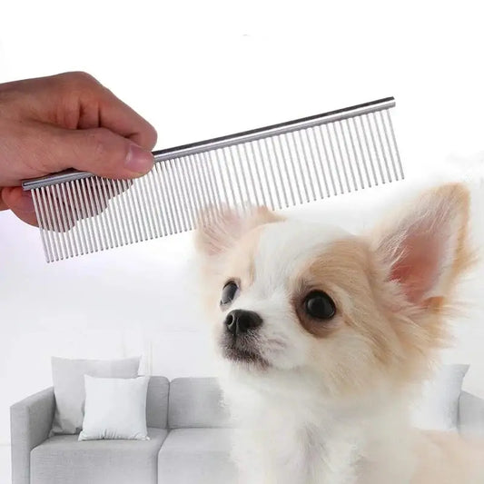 White Chihuahua dog looking up at a grooming comb held above its head.