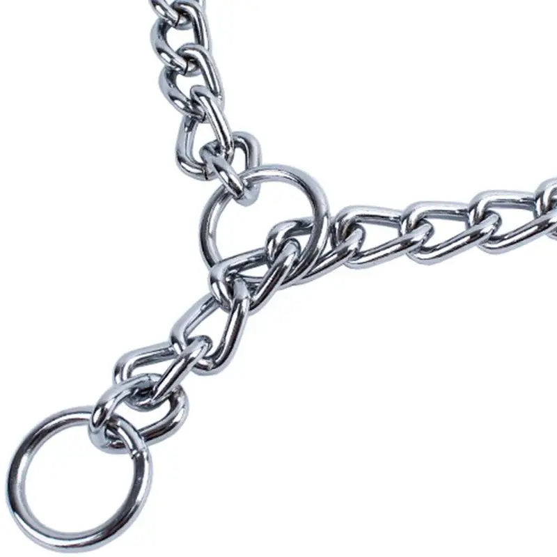 Metal chain collar with attached rings.