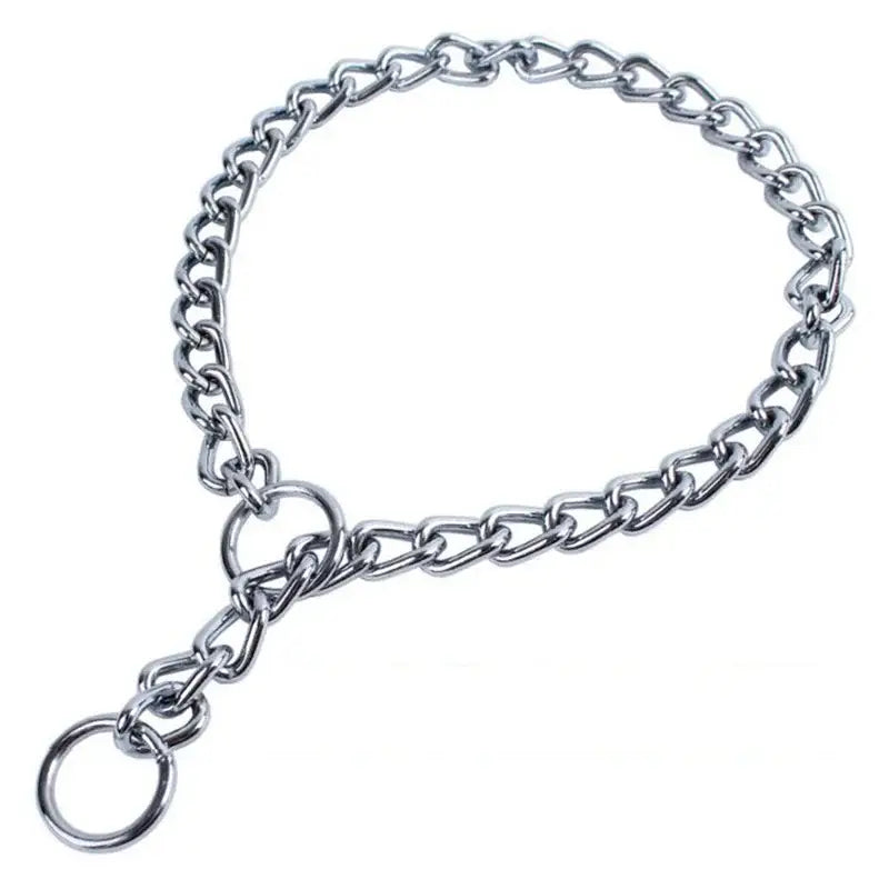 Metal chain collar with a ring attachment.