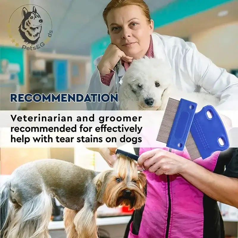 Veterinarian holding a small white puppy while another person grooms a Yorkshire terrier.