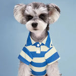 Navy Dog Polo - Vignette | DoggyElite