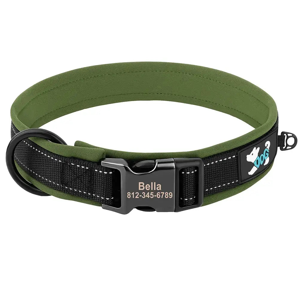 Dog collar with a green padded interior and black outer strap featuring a personalized name tag.