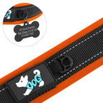 Neoprene Dog Collar - Vignette | DoggyElite