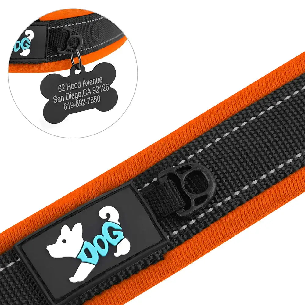 Dog collar with orange trim and a personalized tag attachment.