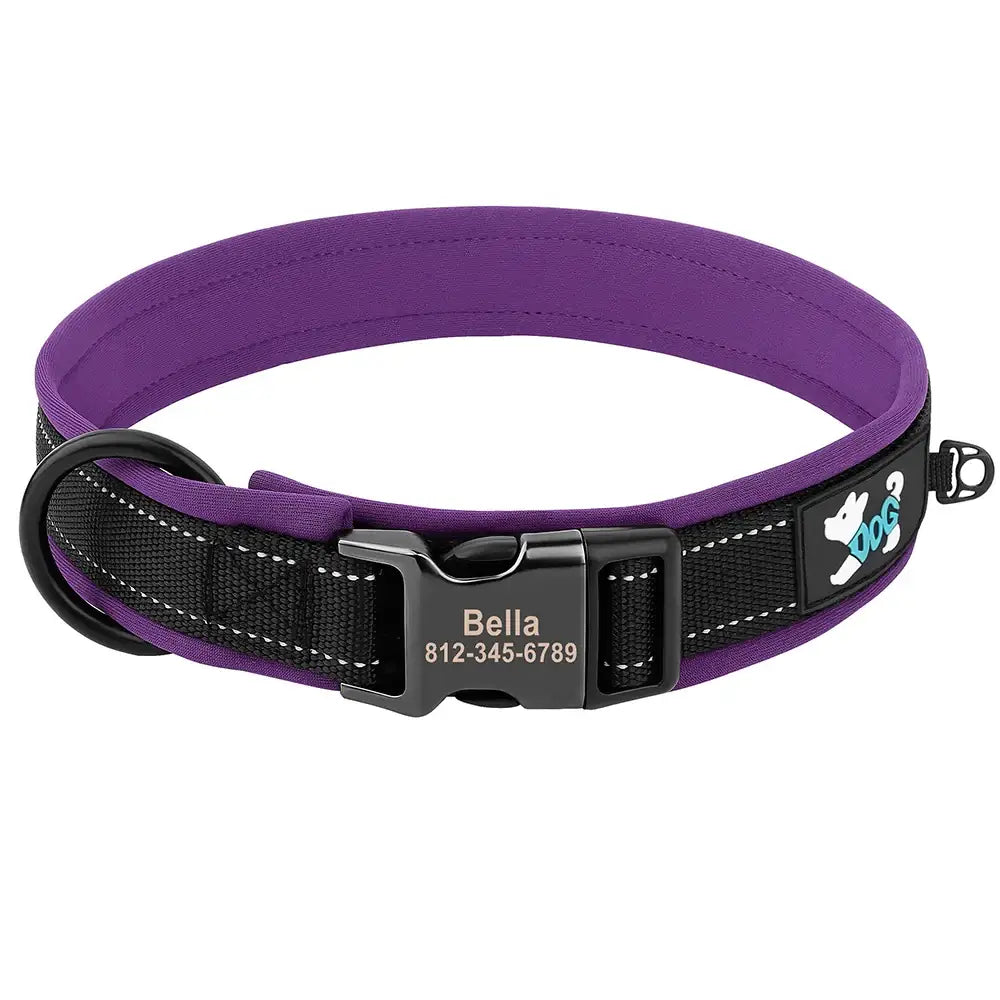 Purple and black dog collar with a personalized name tag and paw print design.