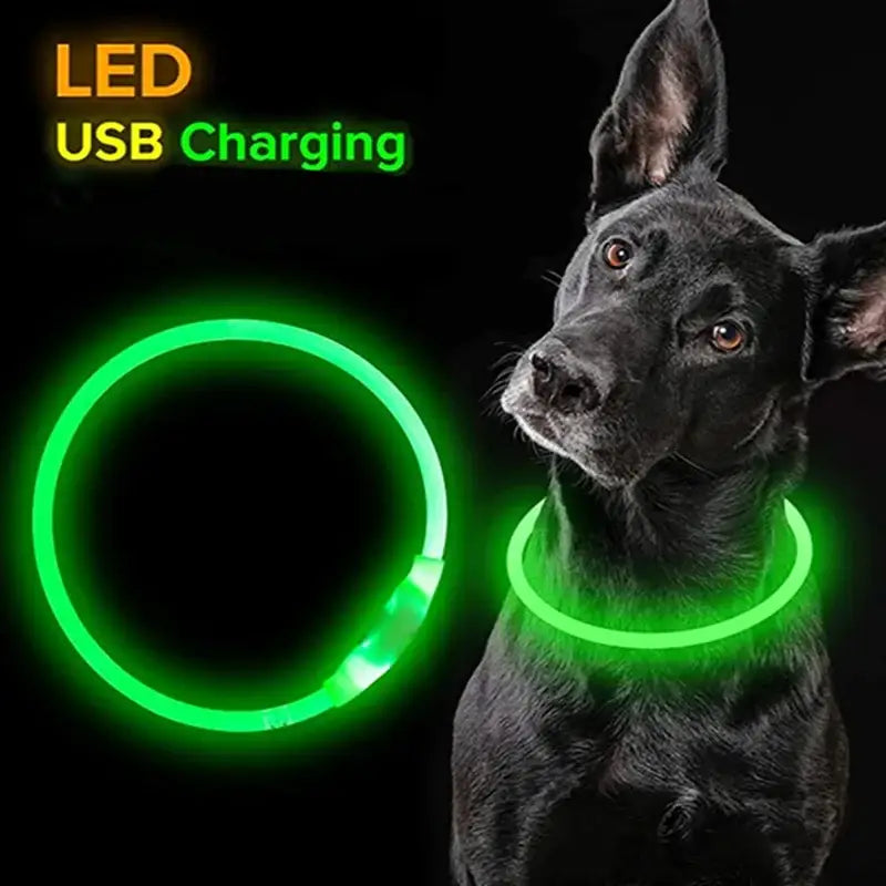 Glowing green LED dog collar with USB charging capability.