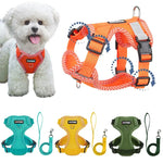 No Choke Harness For Small Dogs - Vignette | DoggyElite