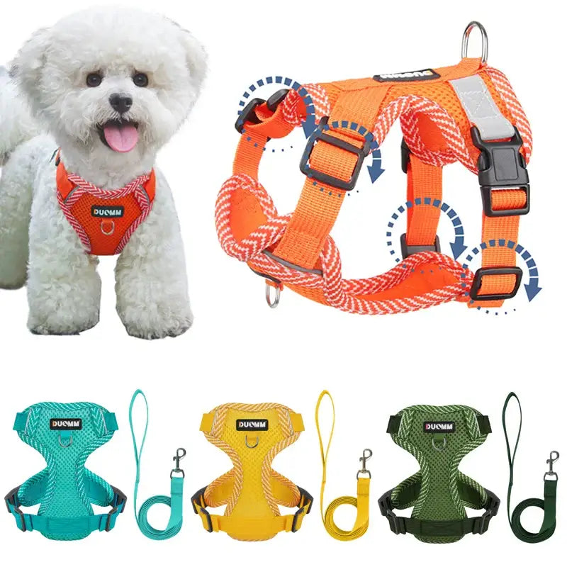 Fluffy white dog wearing an orange harness.