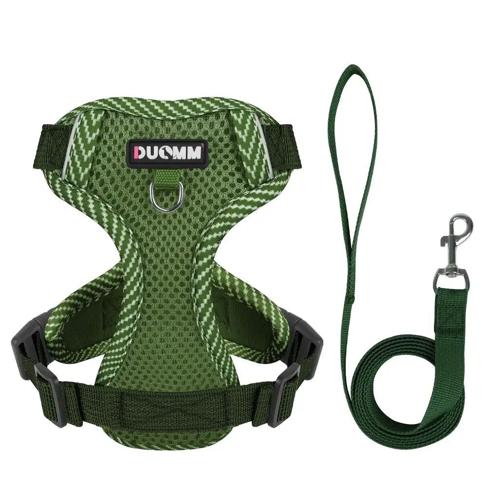 Green mesh dog harness with matching leash.