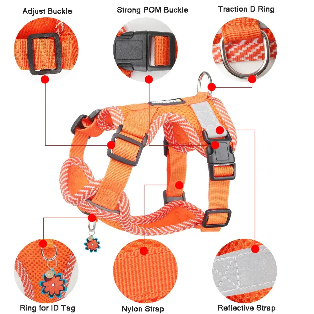 Orange and gray dog harness with adjustable straps and various buckles and attachments.