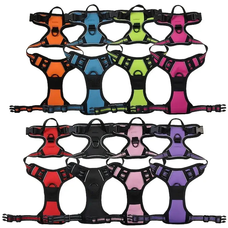 Colorful dog harnesses arranged in rows.