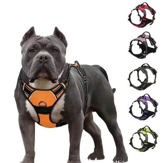 Gray pit bull-type dog wearing an orange harness.