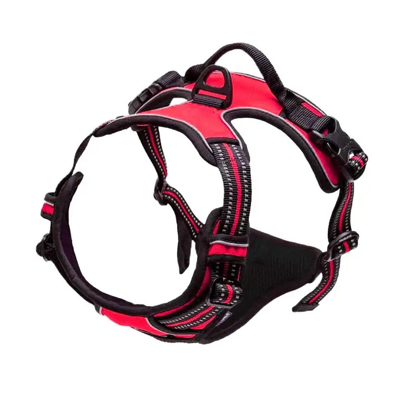 Red and black adjustable dog harness with multiple straps and buckles.