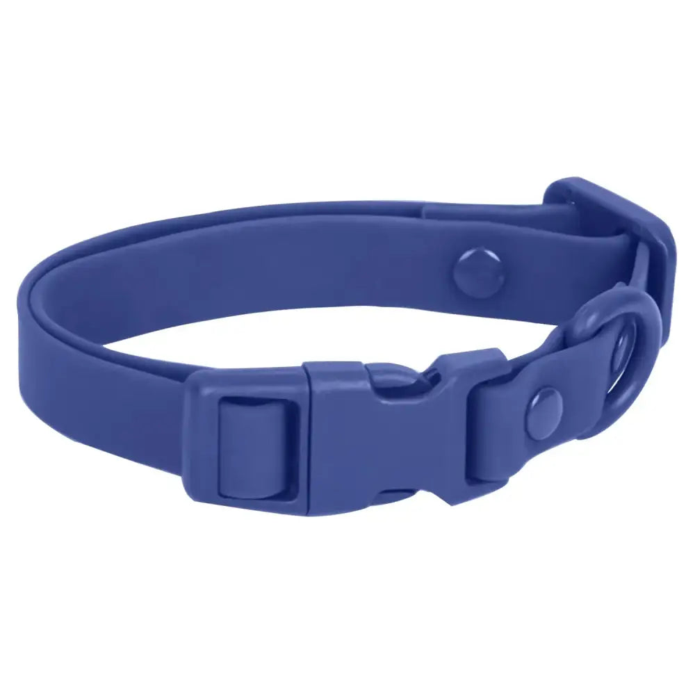 Blue plastic pet collar with a snap buckle closure.