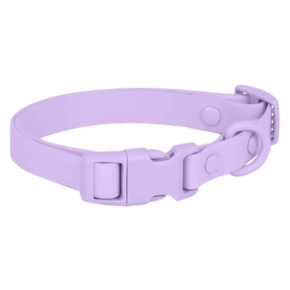 Lavender-colored adjustable pet collar with a plastic buckle.