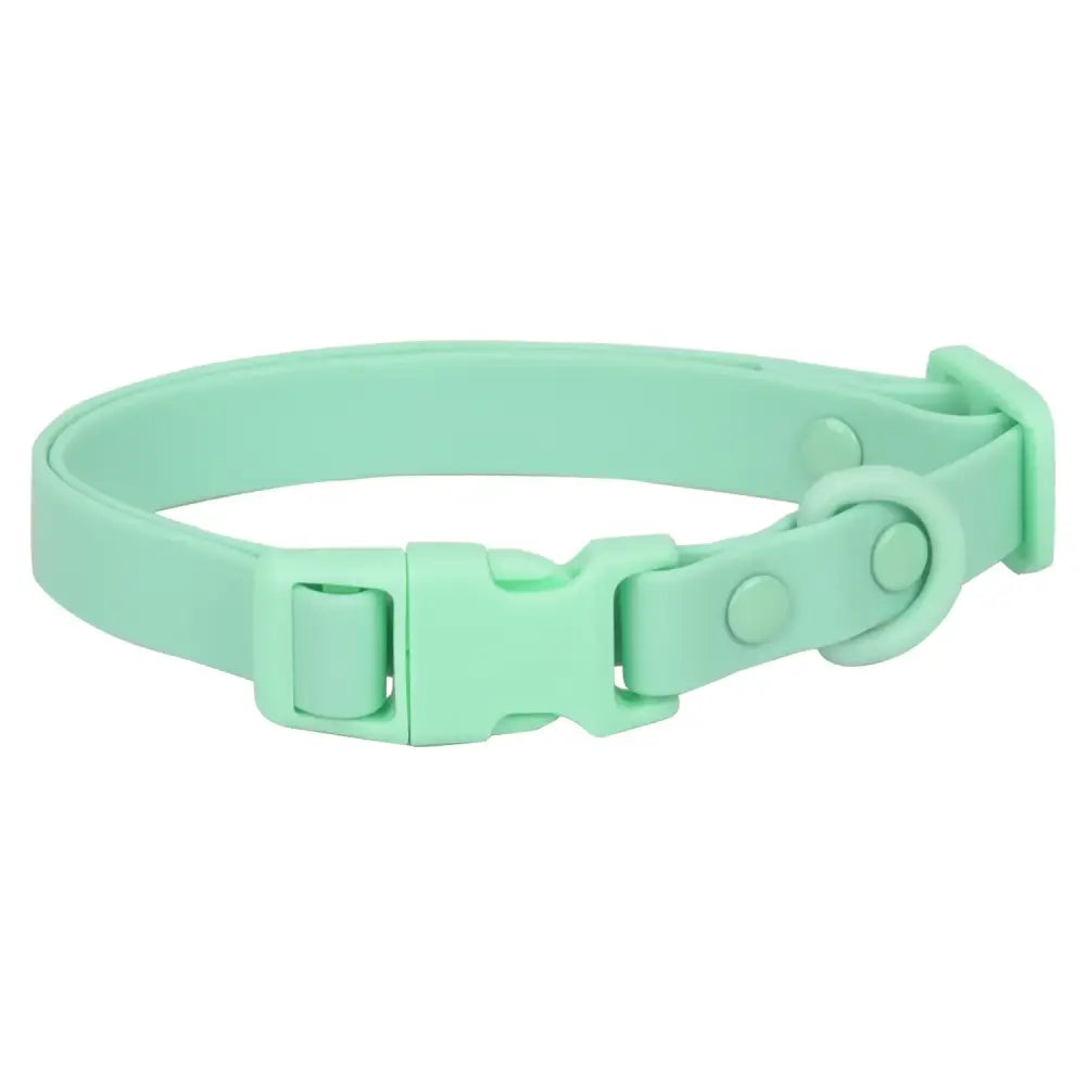 Mint green adjustable pet collar with a plastic buckle.