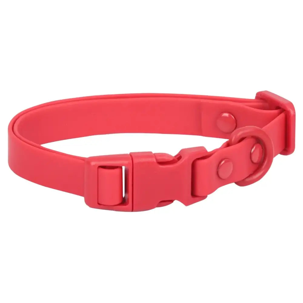 Red plastic dog collar with a quick-release buckle.