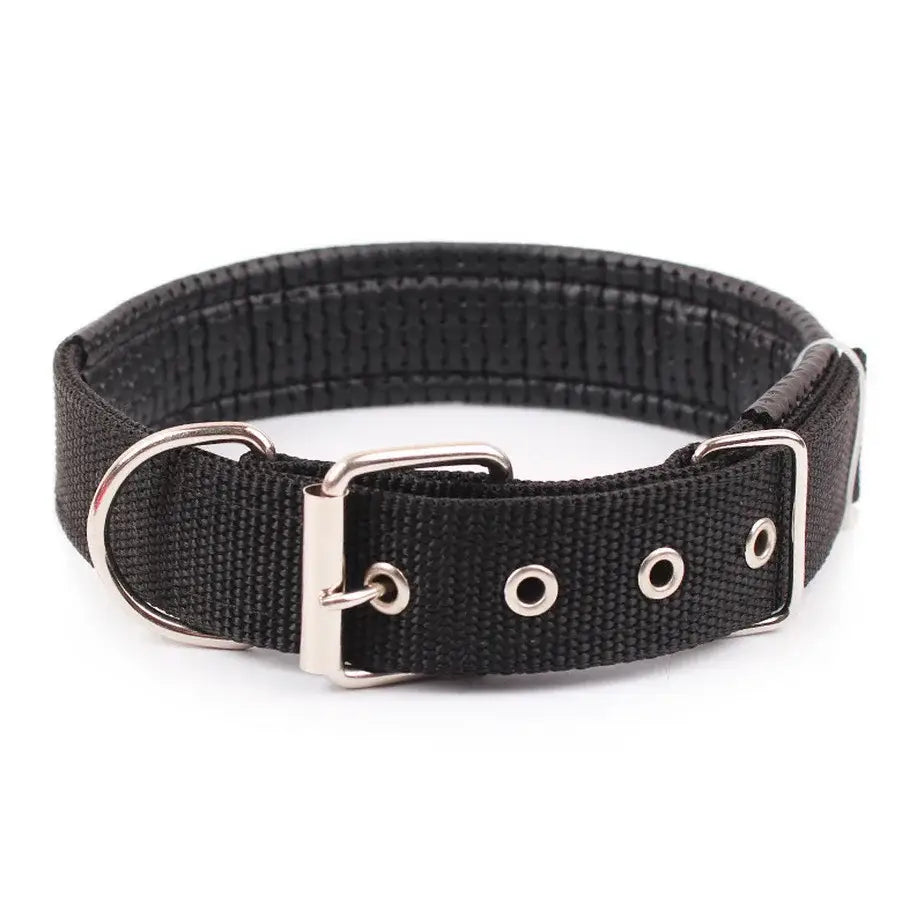 Black nylon dog collar with metal buckle and grommets.