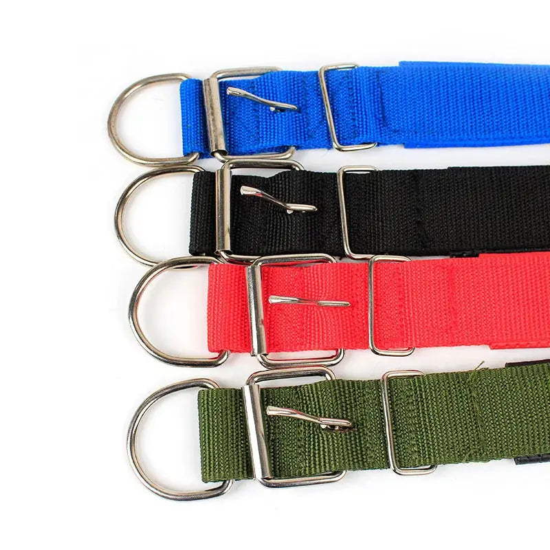 Four nylon dog collars in blue, black, red, and green colors with metal buckles.