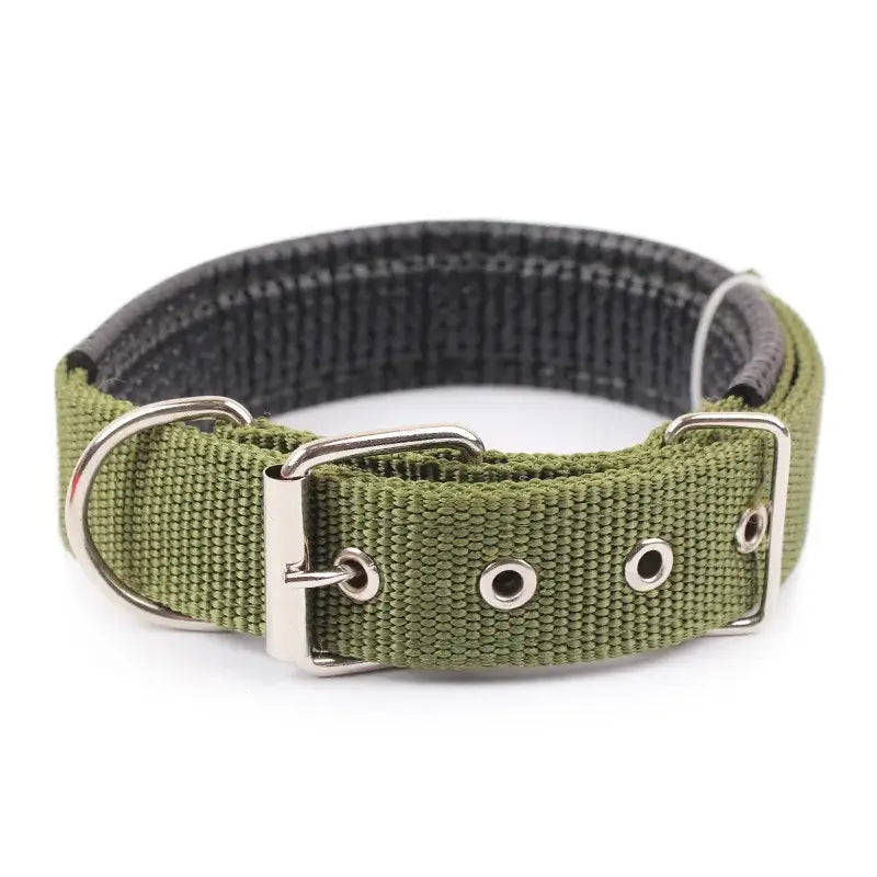 Green nylon dog collar with metal buckle and grommets.