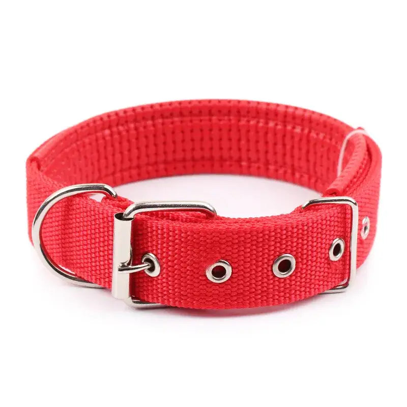 Red nylon dog collar with metal buckle and D-ring.