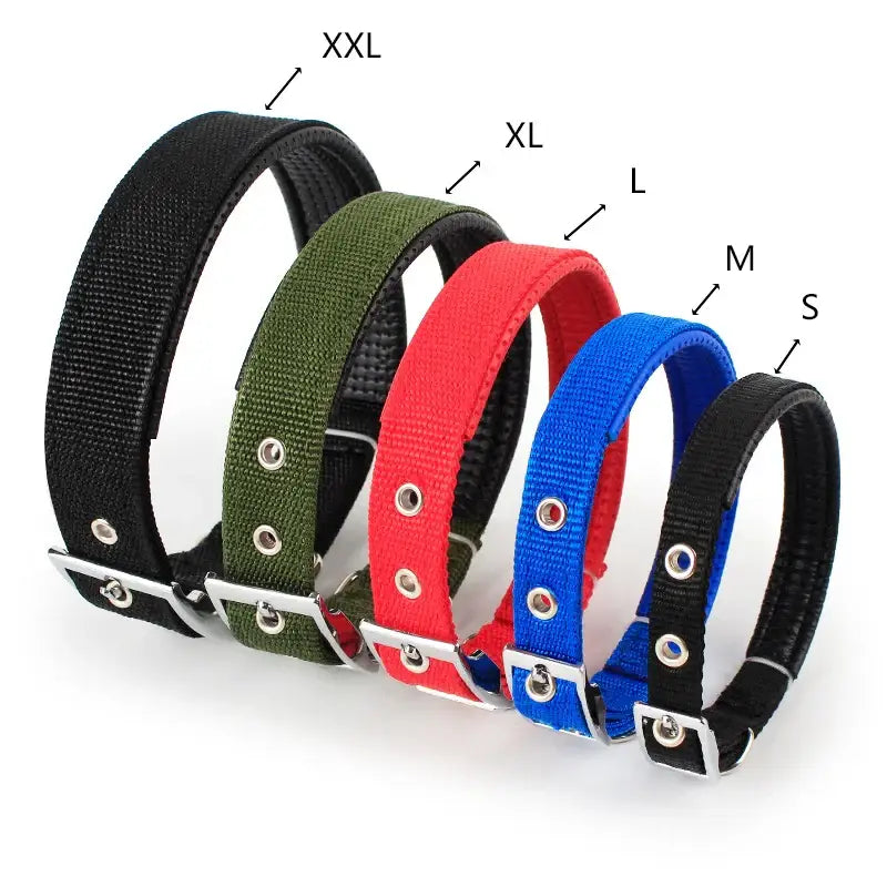 Set of colorful dog collars in different sizes.