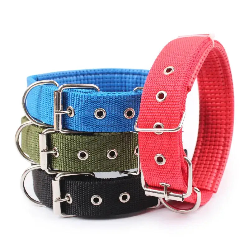 Set of colorful nylon dog collars with metal buckles.