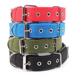 Nylon Dog Collar With Metal Buckle - Vignette | DoggyElite