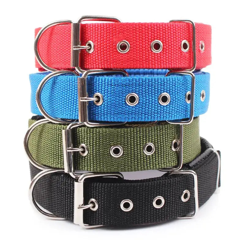 Stack of colorful nylon dog collars with metal buckles and grommets.