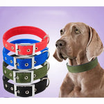 Nylon Dog Collar With Metal Buckle - Vignette | DoggyElite