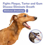 Oral Spray For Dogs - Vignette | DoggyElite