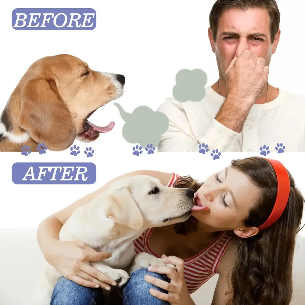 Before and after comparison showing a dog’s effect on a person’s mood.