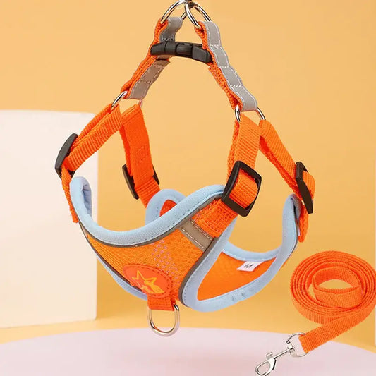 Dog harness with matching leash in bright orange and light blue colors.