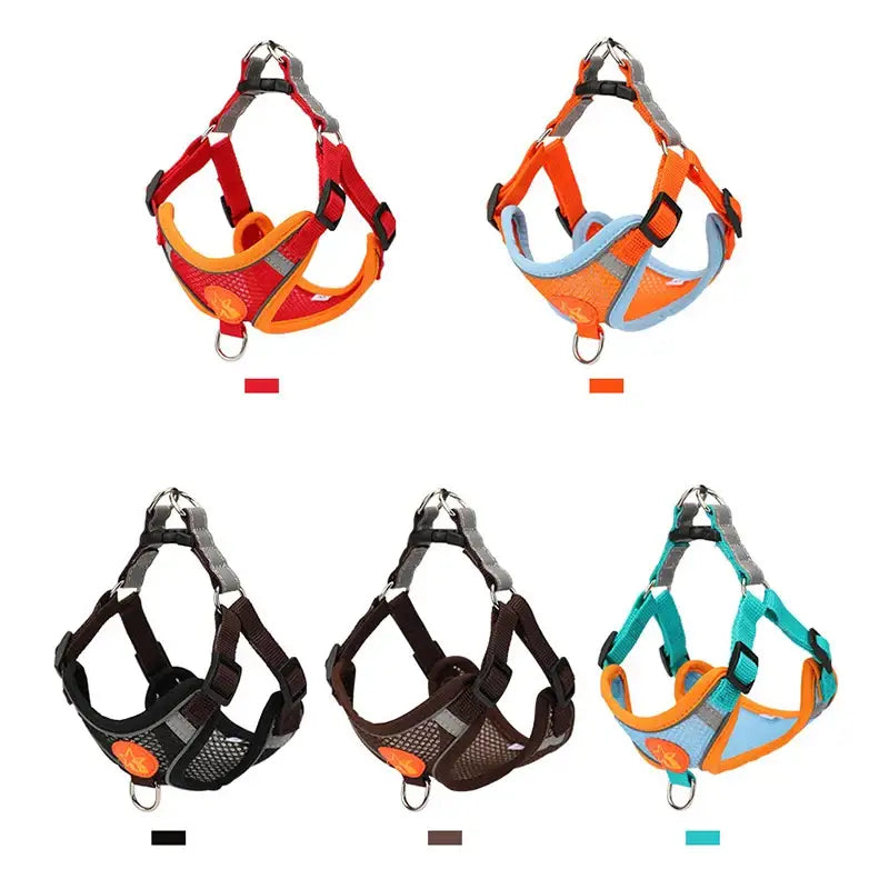 Dog harnesses in various colors including red, orange, black, brown, and teal.