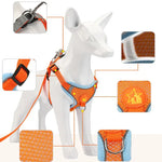 Orange Tactical Dog Harness - Vignette | DoggyElite