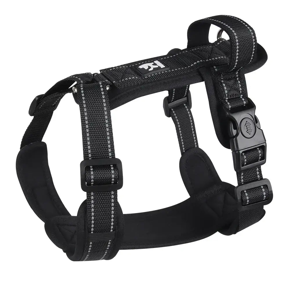 Black adjustable dog harness with reflective stitching and multiple straps.