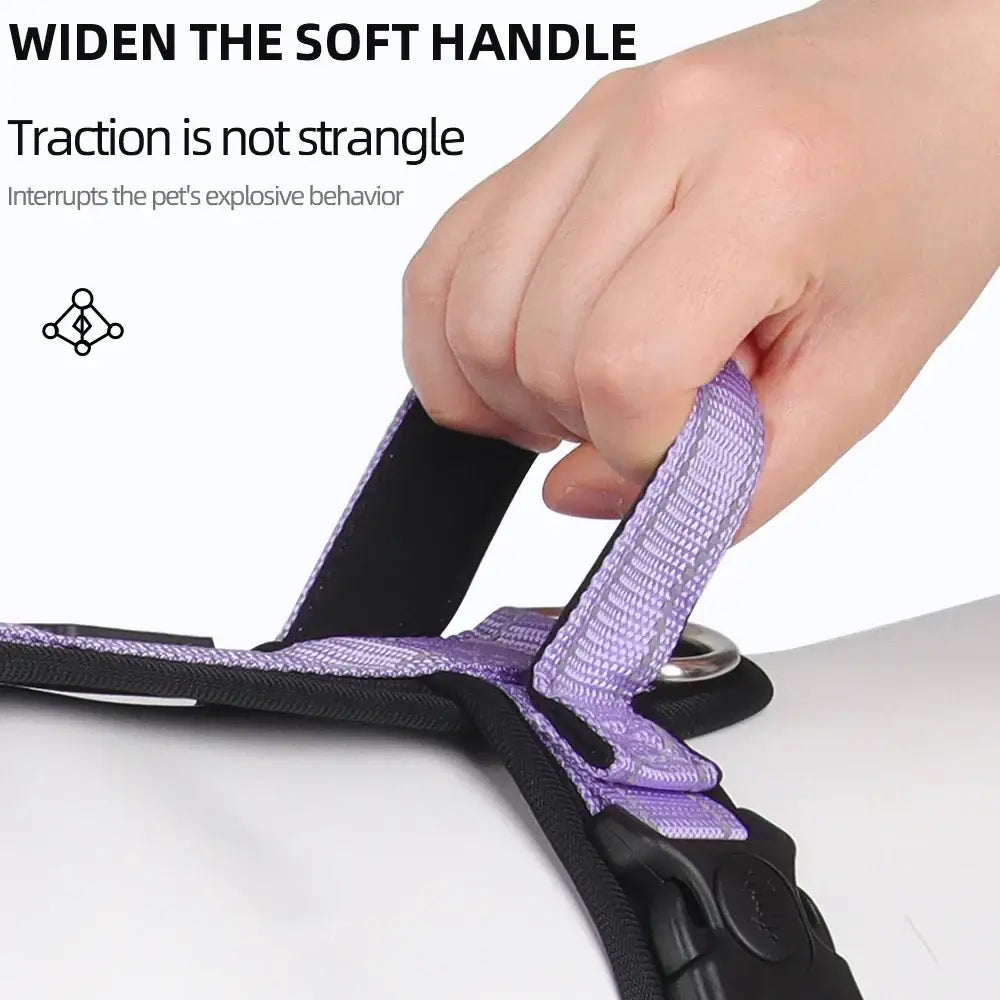 Dog harness with a wide, soft purple handle being adjusted by a hand.