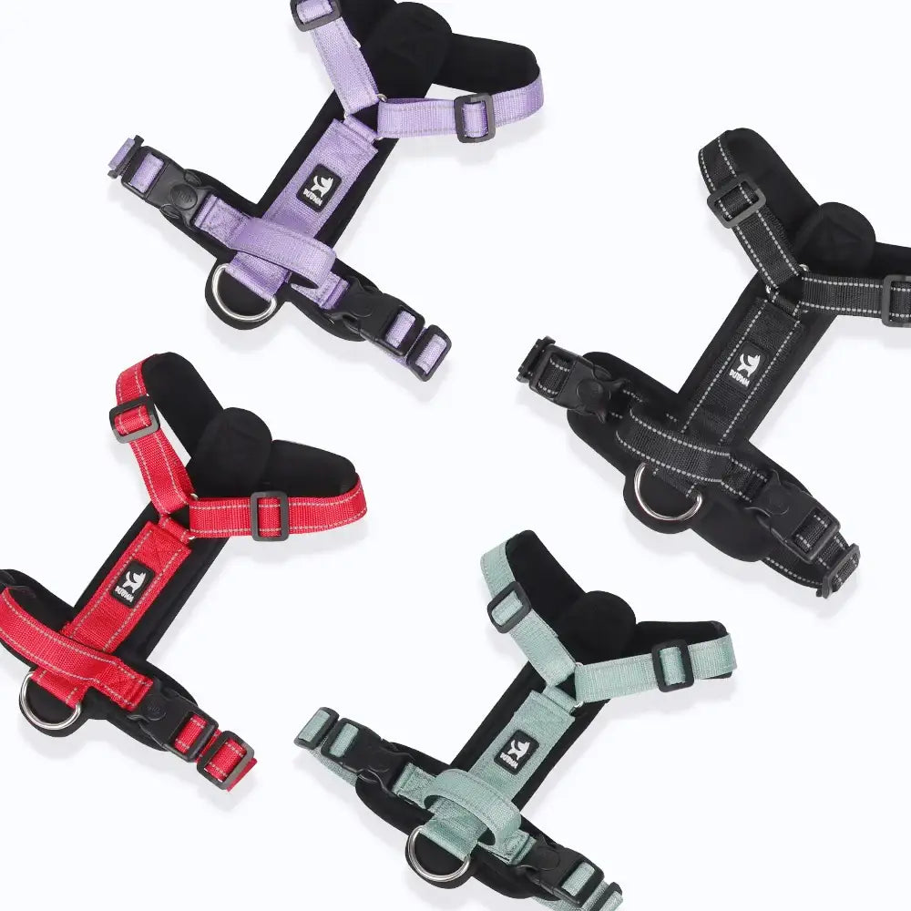 Dog harnesses in various colors including purple, red, black, and mint green.