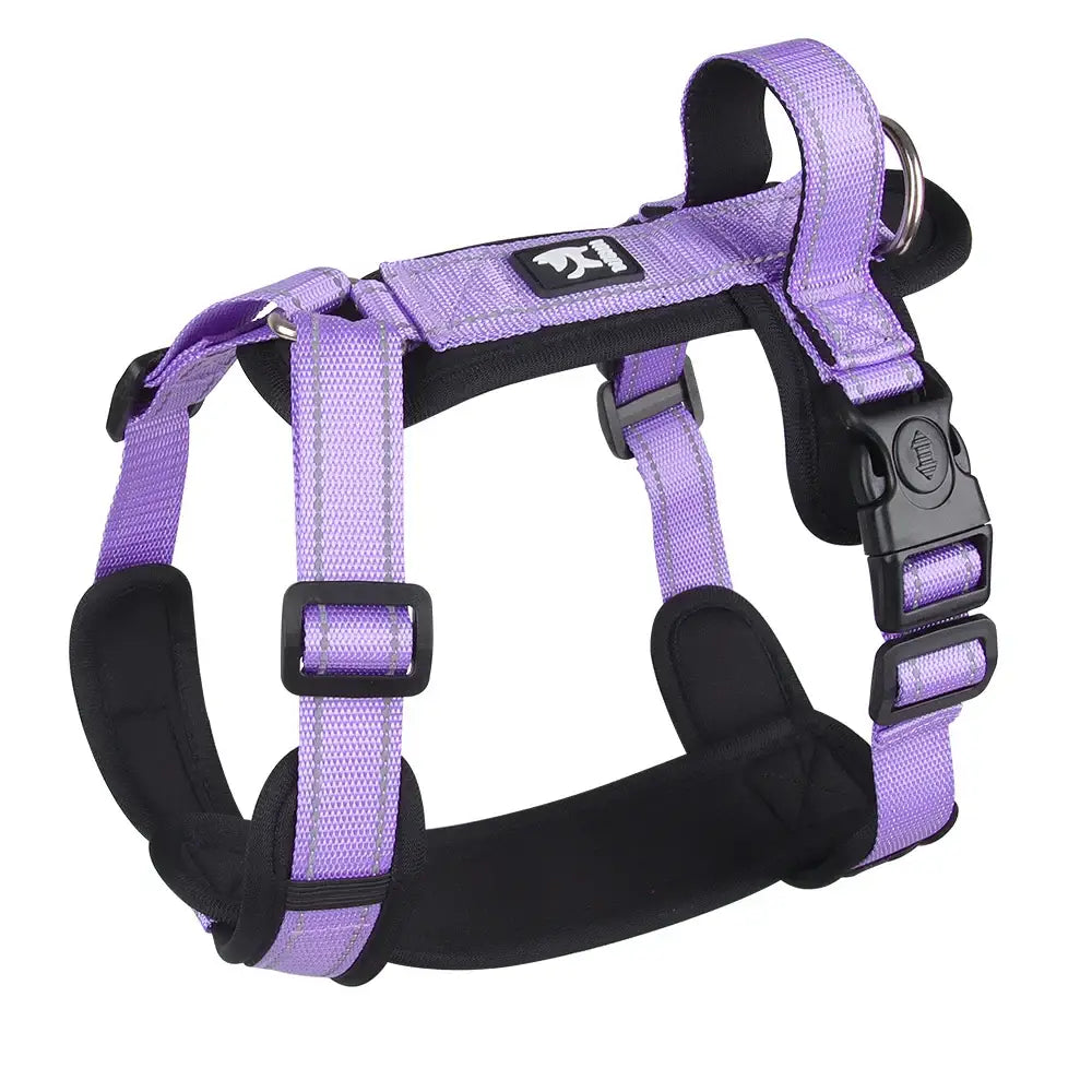 Purple and black adjustable dog harness with buckles and straps.