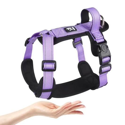 Purple and black adjustable dog harness floating above an outstretched hand.