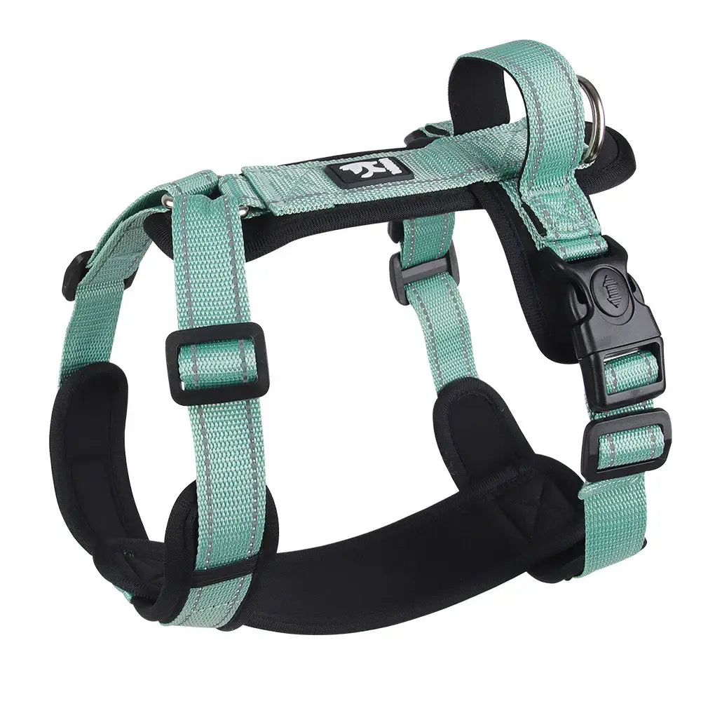 Teal and black adjustable dog harness with buckles and straps.