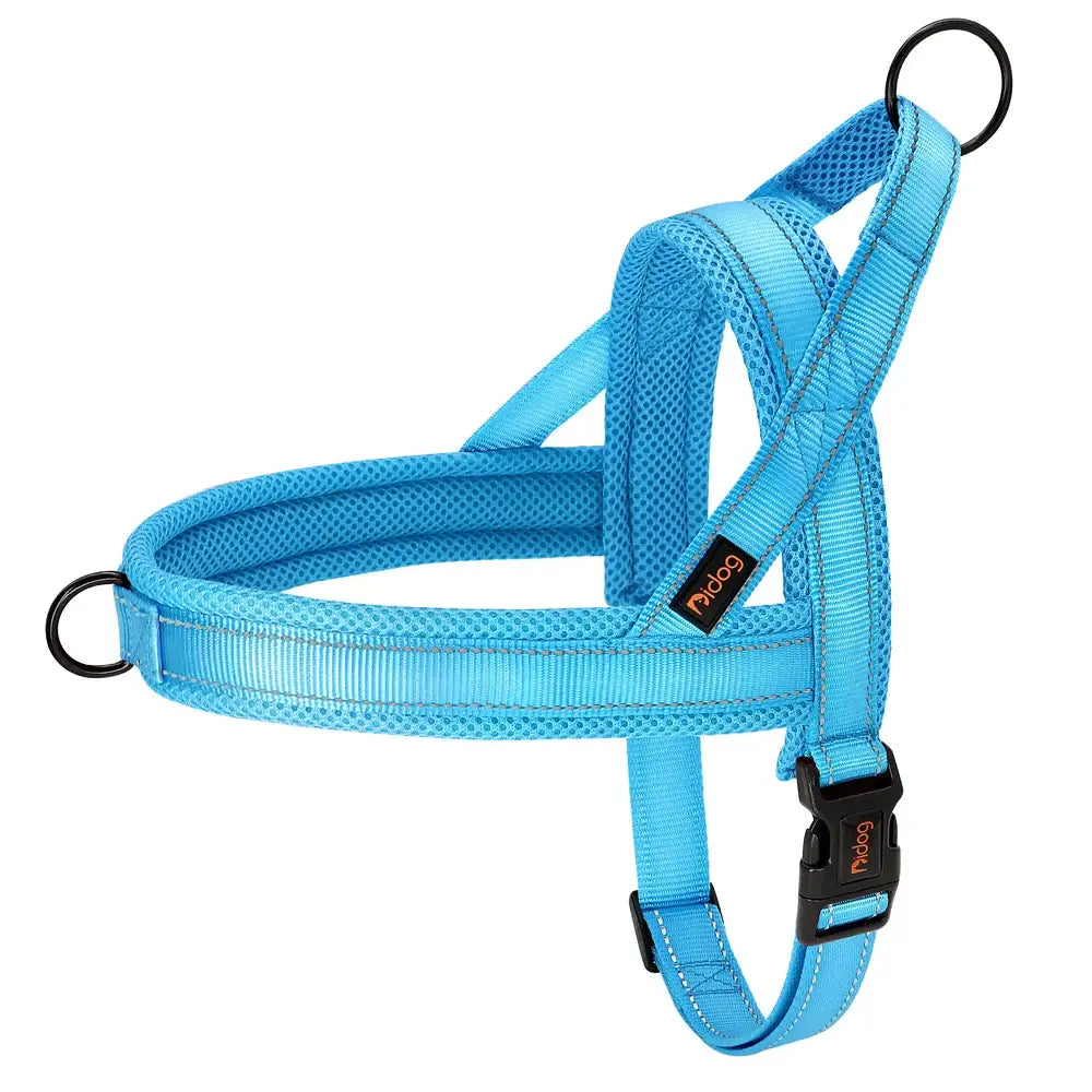 Bright blue dog harness with adjustable straps and buckles.