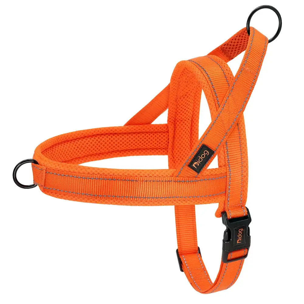 Bright orange dog harness with adjustable straps and buckle.