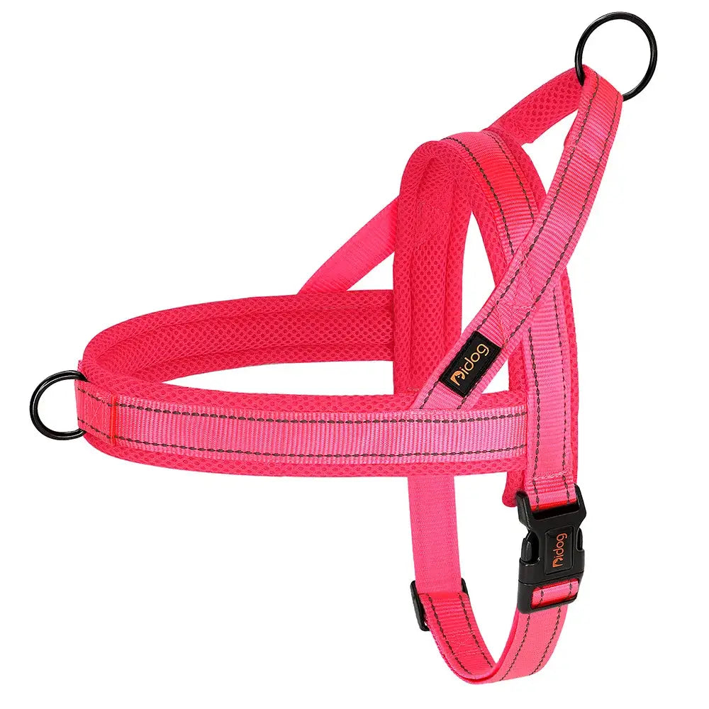 Bright pink dog harness with adjustable straps and buckles.