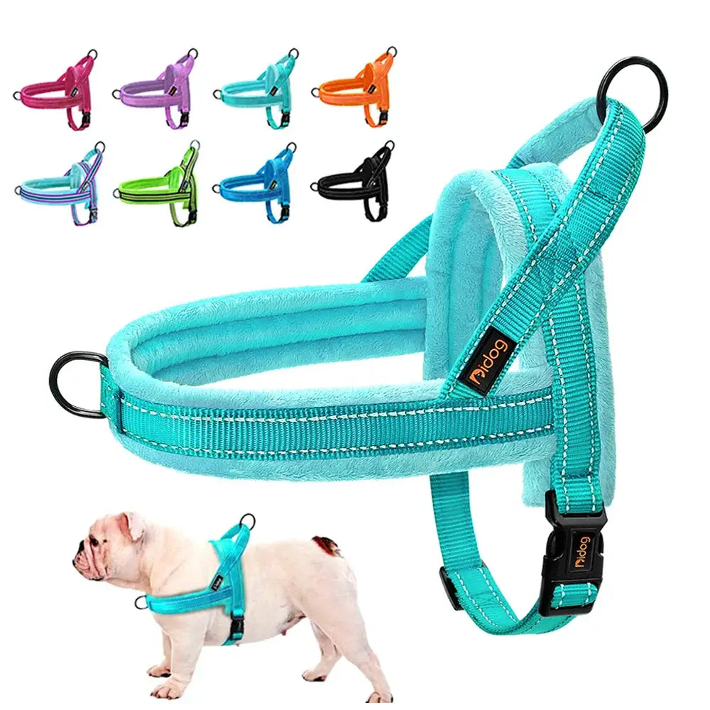 Colorful no-pull dog harness with padded straps and multiple size options.